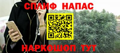 бошки Братск